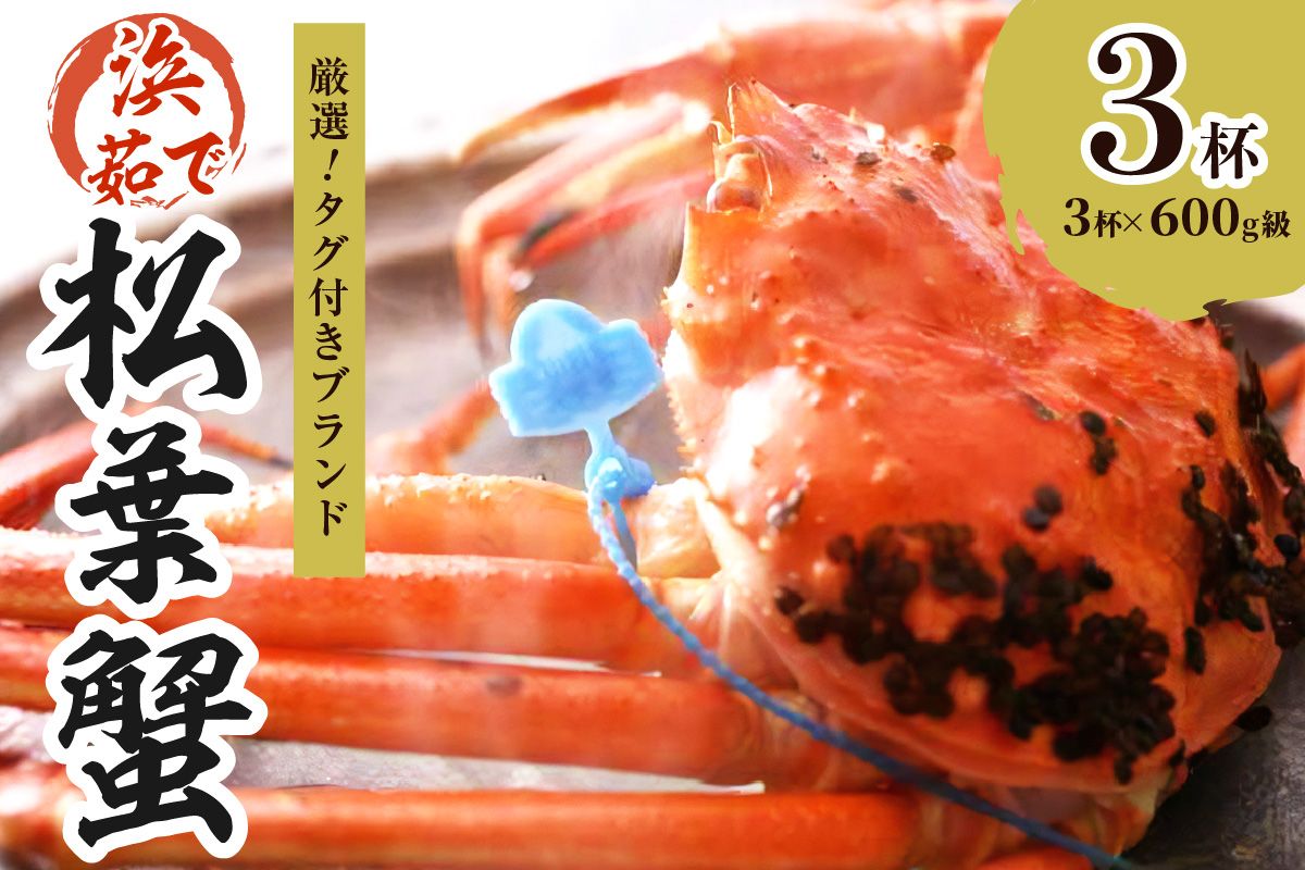 【厳選！！タグ付きブランド】　茹で松葉かに（中）　鮮度抜群、浜茹でにてお届け！！ 600g級×3杯 YK00438