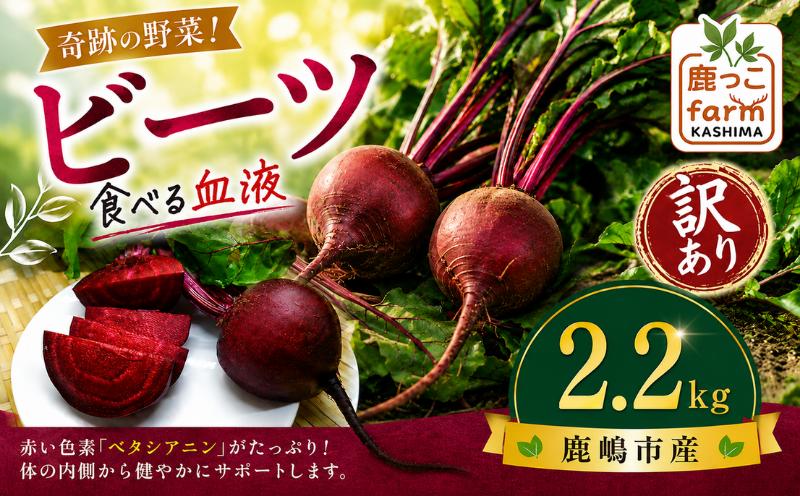 
                  ビーツ 約2.2kg 訳あり 【先行予約】 数量限定 野菜 肉厚 旬 食物繊維 ヘルシー ポリフェノール ベタシアニン 健康 カリウム 赤い色素 赤紫 食べる血液 季節の野菜 サラダ カルパッチョ ボルシチ スムージー スープ ビーツ習慣 国産 産地直送 vegetable beet beets beetroot 色鮮やか 鹿っこfarm ふるさと納税 茨城県 鹿嶋市 【2027年6月発送】
                
