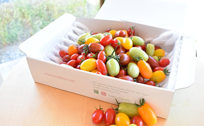 見て楽しい,食べて美味しい。☆トマトの宝石箱☆ジュエルスピカ（1.3kg） 野菜 とまと