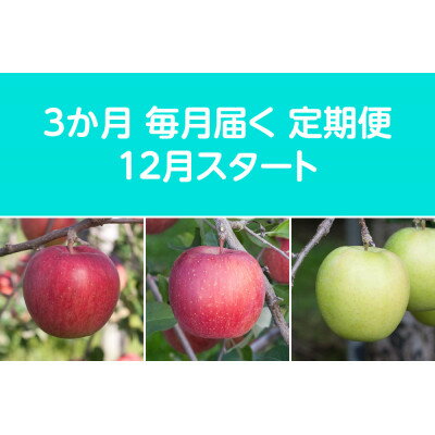 【ふるさと納税】【発送月固定定期便】〈2026年12月より順次発送〉甘味系・青森県産りんご約5kg 全3回【配送不可地域：離島・沖縄県】【4051696】