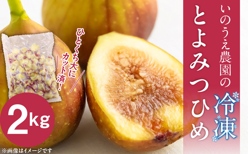 
            いのうえ農園の冷凍とよみつひめ2kg_Fx014
          