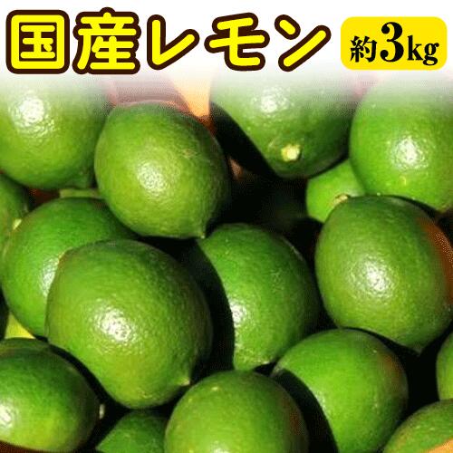 【ふるさと納税】国産レモン 約3kg アトランティスファーム《11月上旬-3月中旬頃出荷》和歌山県 紀の川市 フルーツ 果物 柑橘
