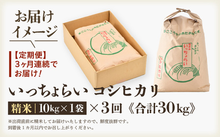 【令和5年産】《定期便3回》いっちょらい 精米 10kg（計30kg）／ 福井県産 ブランド米 コシヒカリ ご飯 白米 新鮮 大賞 受賞 新米 