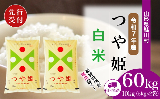 ＜令和7年産米先行受付＞ 山形県産 特別栽培米 つや姫 【白米】60kg定期便(10kg×6回)　配送時期指定できます！