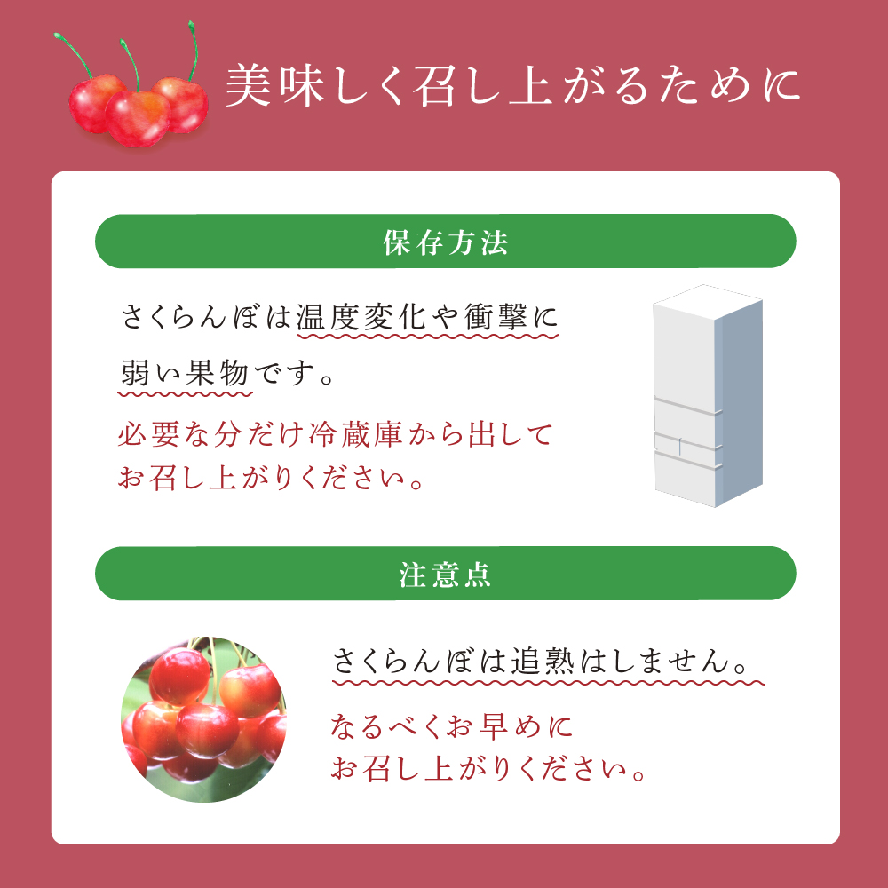 【 先行受付 】さくらんぼ サミット 1kg 500g×2パック 農林水産大臣賞 受賞 サクランボ チェリー 果物 果物類 フルーツ デザート 大粒 肉質 希少 北海道 芦別市