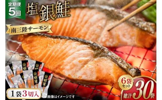 5回 定期便 鮭 切り身 塩銀鮭パック 3切 ×6袋 ×5回 総計30袋 [たみこの海パック 宮城県 南三陸町 m304amh560057] サーモン 銀鮭 塩銀鮭 シャケ 切身 さけ サケ 国産 小分け 個包装 冷凍