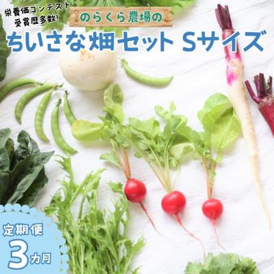 ふるさと納税 佐久穂町 【毎月定期便】信州北八ヶ岳からお届け〜のらくら農場の旨み野菜セット〜6種類前後(Sサイズ)全3回