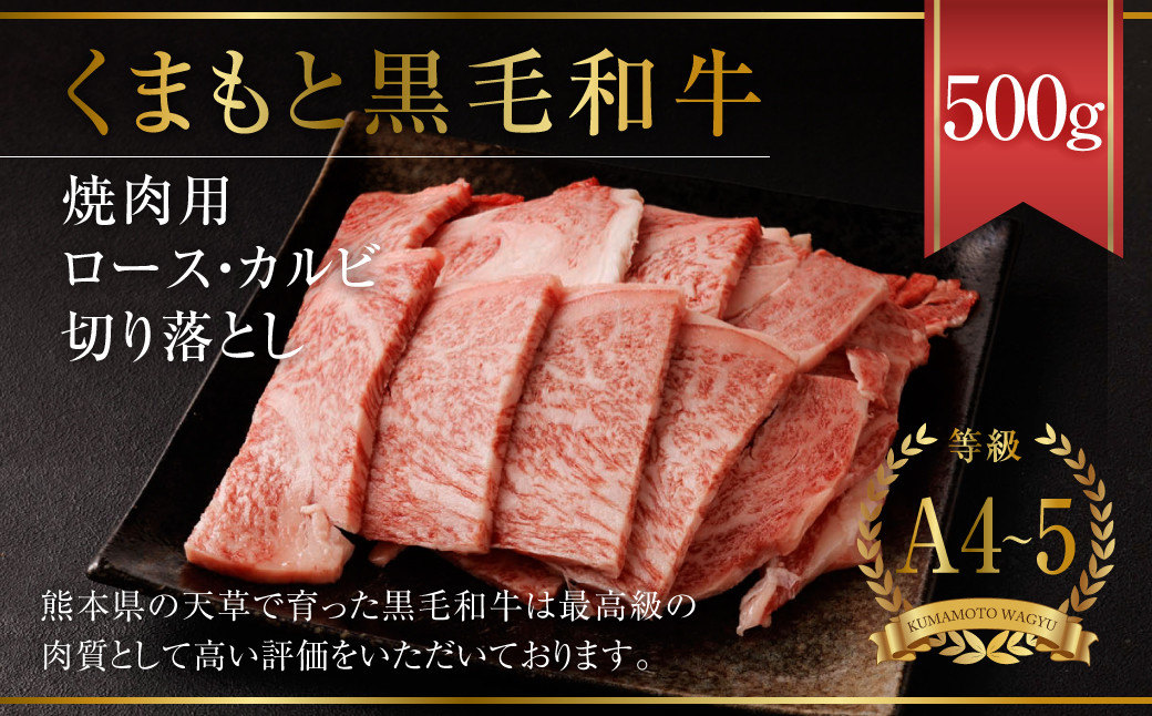 天草 黒毛和牛 焼肉用 ロース・カルビ 切り落とし 500g