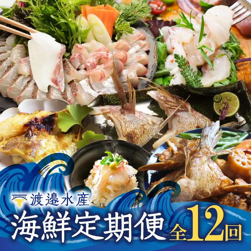 渡邉水産・海鮮定期便（12回）／ 真鯛 定期便【Z073】