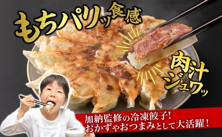 【加納の王道】冷凍生餃子（27個入り×3P）生餃子 冷凍餃子 ギョーザ おかず 総菜 おつまみ つまみ ごはんのお供 中華 お取り寄せ 焼き餃子 冷凍 藤沢市 神奈川