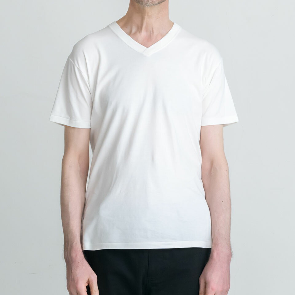 【ふるさと納税】＜選べるカラー＞EIJI T-SHIRT Vネック ホワイト／ブラック／ネイビー／ヘザーグレイ SM17 Tシャツ 日本製 オーガニックコットン アルティメイトピマ100%使用 コットン 綿100％ 紺 服 トップス 衣料 アパレル 国産 大阪府 阪南市 送料無料