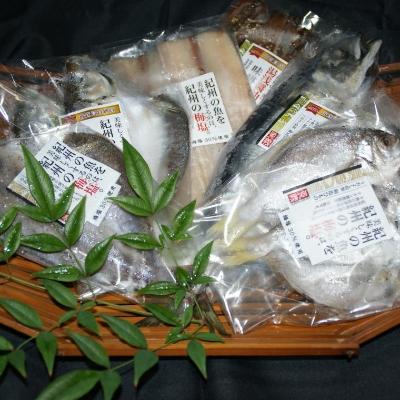 ふるさと納税 日高町 【日高町】和歌山の近海でとれた新鮮魚の梅塩干物と湯浅醤油みりん干し6品種10尾入りの詰め合わせ