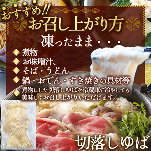 【定期6回】湯葉（生湯葉・切落し）生湯葉130g×5、切落し300g×2 | 定期便 6回 湯葉 生湯葉 イソフラボン 美と健康のサポート 植物性タンパク質 低カロリー 栃木県 那珂川町