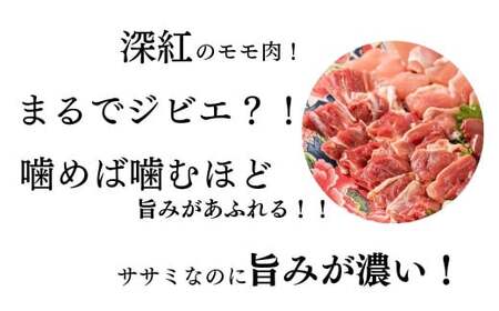「土佐ジロー」地鶏 カット肉 1袋 200g 地鶏 成熟 歯ごたえ やみつき 冷凍 BN