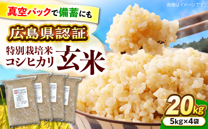 特別栽培米コシヒカリ 真空パック玄米20kg（5kg×4袋） お米 こしひかり ご飯 コシヒカリ おこめ 三次市/小川モータース [APCH008]