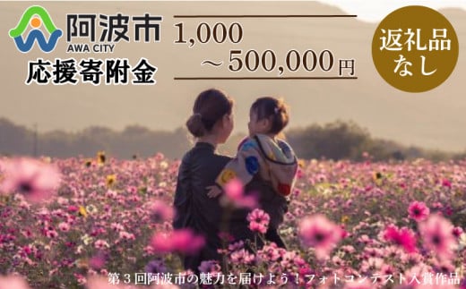 【 返礼品なし 20,000円  】 徳島県 阿波市 への 寄附 応援寄附金