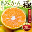 【ふるさと納税】【太陽をたっぷり浴びた】極早生みかん【極】20kg(小玉)【H49-38】【1508917】