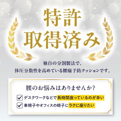ふるさと納税 大分市 腰痛予防に!体圧分散 フォーケアクッション ProAir_R11011 |  | 01