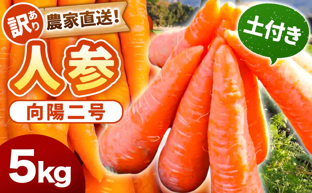 
                  【先行予約】【訳あり】農家直送！ 土付き 人参 （向陽二） 5kg 【2025年12月上旬から2026年2月下旬頃発送予定】 にんじん ニンジン ZS-562
                