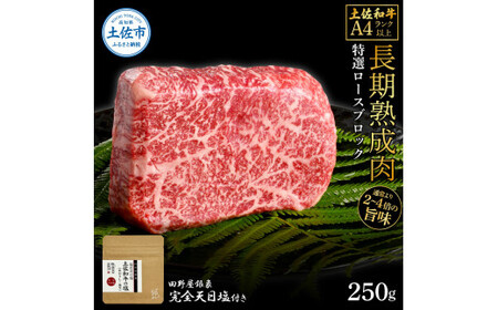 土佐和牛 特選ロースブロック250g 田野屋銀象完全天日塩1P付き 長期熟成肉 田野屋銀象 完全天日塩付き ロース 牛肉 ブロック 肉 お肉 和牛 国産 牛 熟成肉【株式会社LATERAL】 [BQAU052]