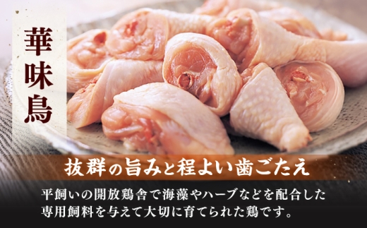 博多華味鳥 水炊き セット 3~4人前 （ちゃんぽん麺付）