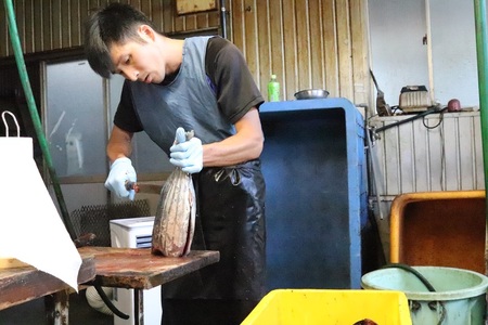 焼津産 かつお の藁焼き 体験 参加 チケット (a24-059)