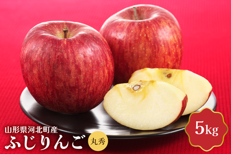 【令和8年産】ふじりんご 5kg 丸秀 山形県産 【JAさがえ西村山】 山形県 河北町 贈答 ふじ 農協 りんご 林檎 ギフト ka008-018e-r8