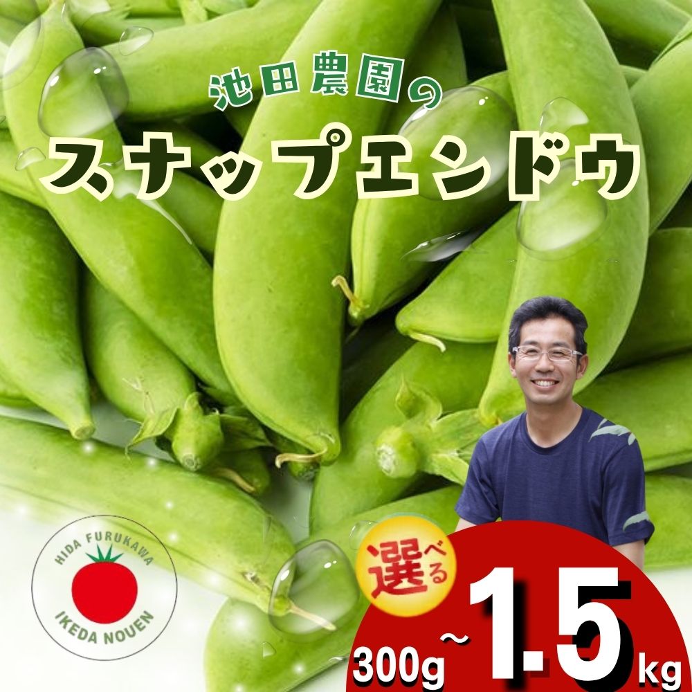 【ふるさと納税】＼シャキシャキ プリプリ／ 採れたて スナップエンドウ 300g～1.5kg 2025年産 飛騨産 国産 スナップえんどう 旬 旬もの 産地直送 野菜 令和7年 【6月上旬〜6月下旬発送】飛騨市 池田農園 6000円 10000円 15000円 6千円 1万円 [Q2944.Q2945]