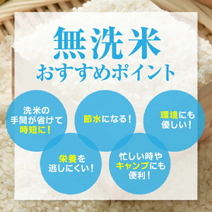 【2026年3月下旬発送】令和7年産 つや姫 無洗米 5kg 米 山形 07-01-196-03C