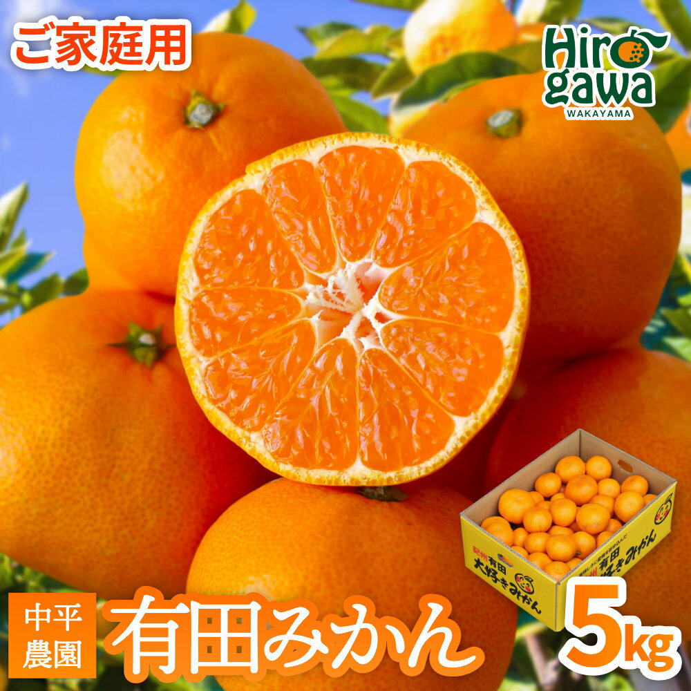 【ふるさと納税】 有田みかん 家庭用 5kg サイズ混合 大好きみかん ※2026年11月中旬から2027年1月上旬に順次発送予定 10000円 / 温州みかん みかん 柑橘 果物 くだもの フルーツ 濃厚 和歌山 有田 広川町 //mandarin
