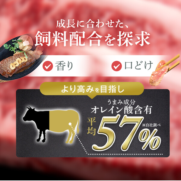 【G01006】　 ＜定期便・全12回(連続)＞鹿児島黒牛 満足定期便・満腹セット(全5種・合計20kg)_イメージ2