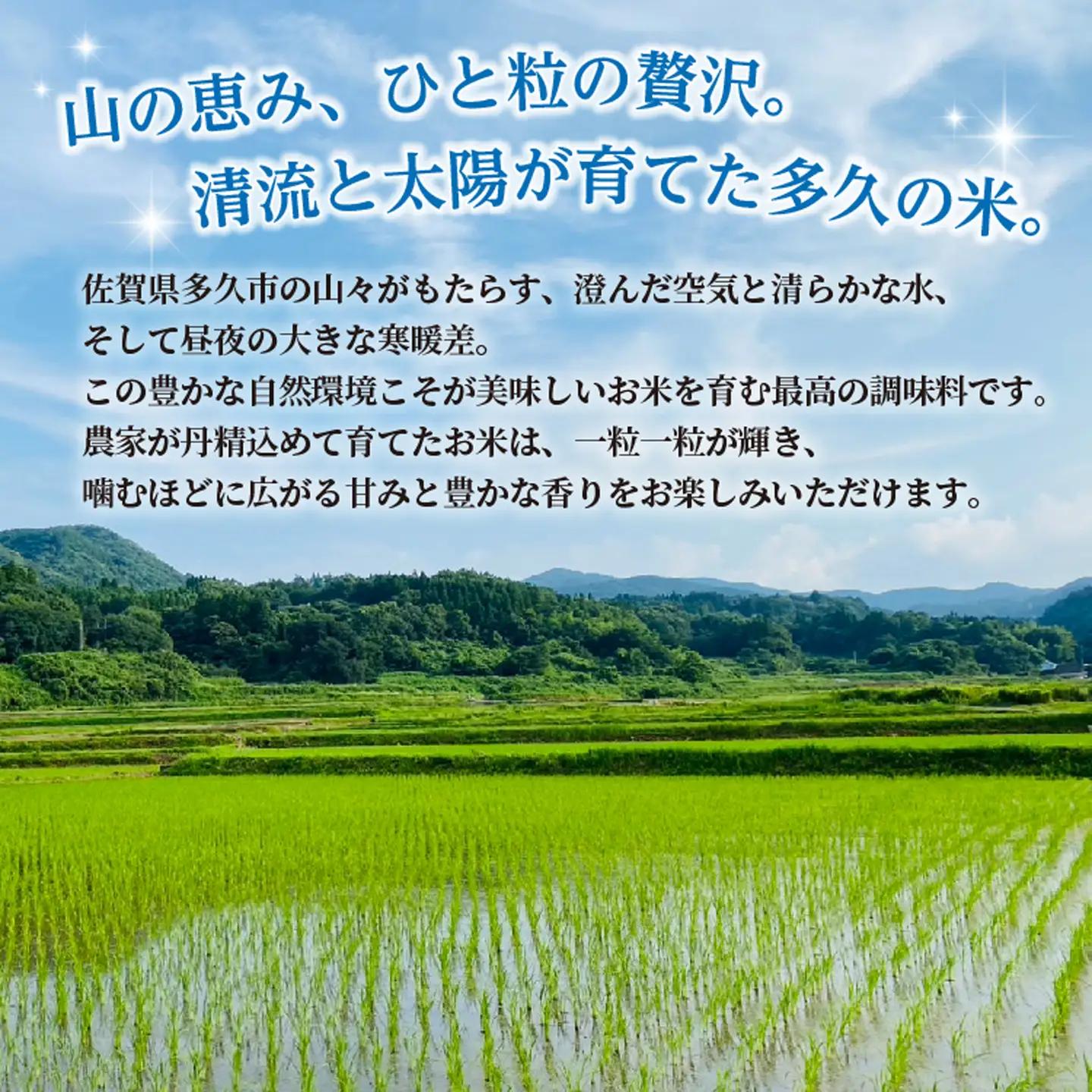 【令和8年産 新米 予約】天使の詩 精米 10kg（5kg×2袋）佐賀県産 白米 _c-128