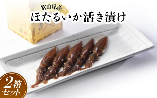 ほたるいか活き漬け2箱セット【1453840】