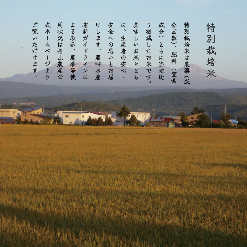 【令和7年産先行受付】【定期便】特別栽培米ゆめぴりか 5kg×12回 北海道当麻町 舟山農産 減農薬 低農薬【AB-016】