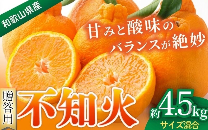 
                  【贈答用】 森本農園の手選別 不知火 約4.5kg 和歌山県産 サイズ混合 【北海道・沖縄・離島配送不可】【1月下旬～4月末頃順次発送】【BV-mrmt080】
                