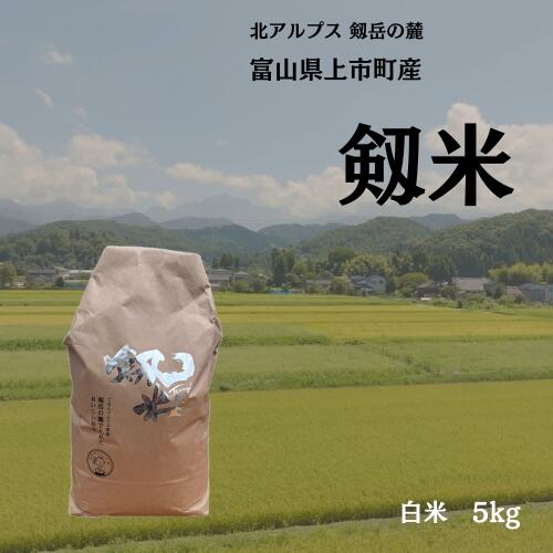 【ふるさと納税】【令和7年産】上市町産コシヒカリ「剱米」（白米）5kg　 [ソムリエH 富山県 上市町 32280236-r6-03] 　お米 コメ ご飯 ごはん こしひかり 富山県産