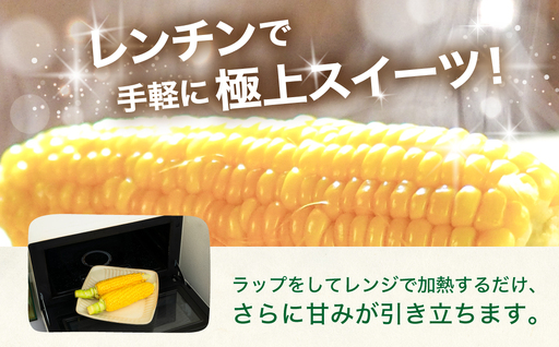 朝採れ とうもろこし 10~16本 イエロー とうもろこし