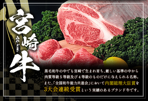 ＜2026年11月発送＞宮崎牛ヒレ肉ステーキ 計260g（130g×2枚）【C380-202611】