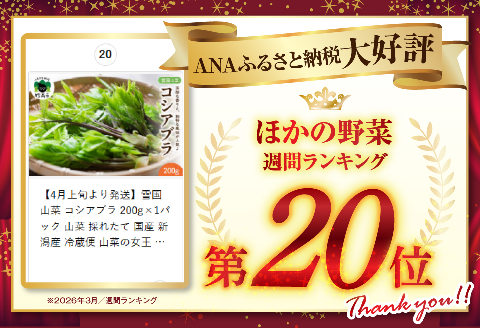 【4月上旬より発送】雪国山菜 コシアブラ 200g×1パック 山菜 採れたて 国産 新潟産 冷蔵便 山菜の女王 こしあぶら 春 天ぷら おひたし パスタ 新潟県 妙高市