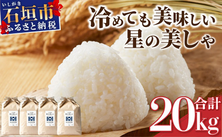 石垣島産 星の美しゃ（ほしのかいしゃ）20kg（5kg×4袋）【産地直送 沖縄県 石垣市 石垣島 米】MK-5