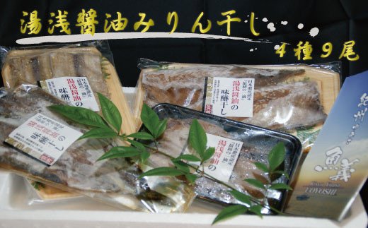 
和歌山の近海でとれた新鮮魚の湯浅醤油みりん干し4品種9尾入りの詰め合わせ / 干物 ひもの あじ さんま さば アジ 秋刀魚 サバ 鯖
