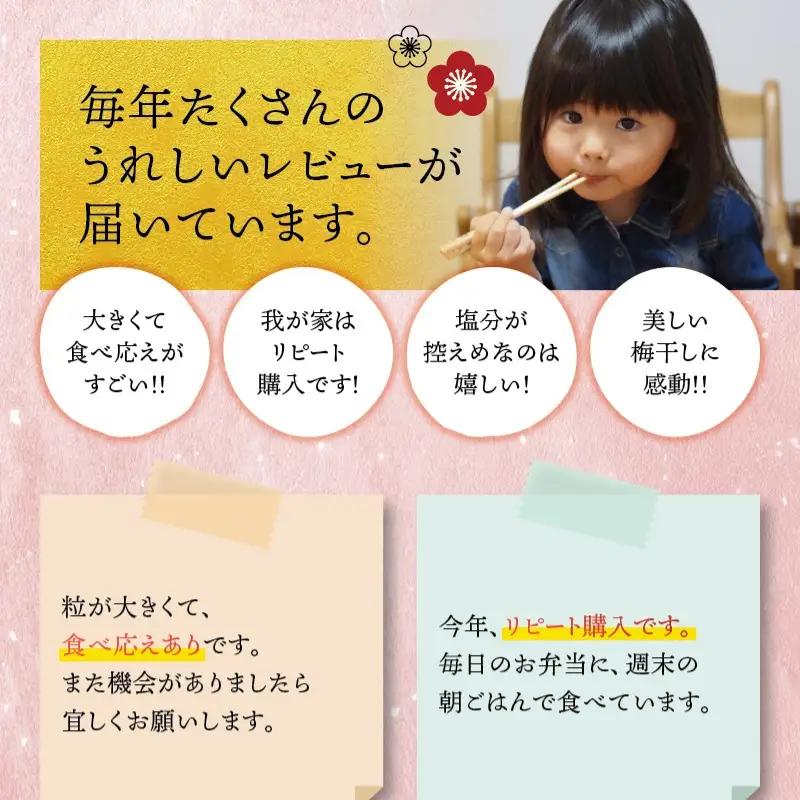 最高級紀州南高梅・大粒優梅 1kg　無添加【ご家庭用】 / 梅干 梅干し 梅 うめ 南高梅 家庭用【inm510C】