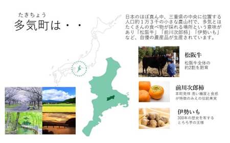 鉾杉 無添加 国産 米麹 300g ２袋 KJ-48 河武醸造 ふるさと納税 腸活 甘酒 美容 発酵食品 塩麹 かんたんレシピ 伊勢の国 女性にオススメ 健康な暮らし 日本酒 アミノ酸 送料無料