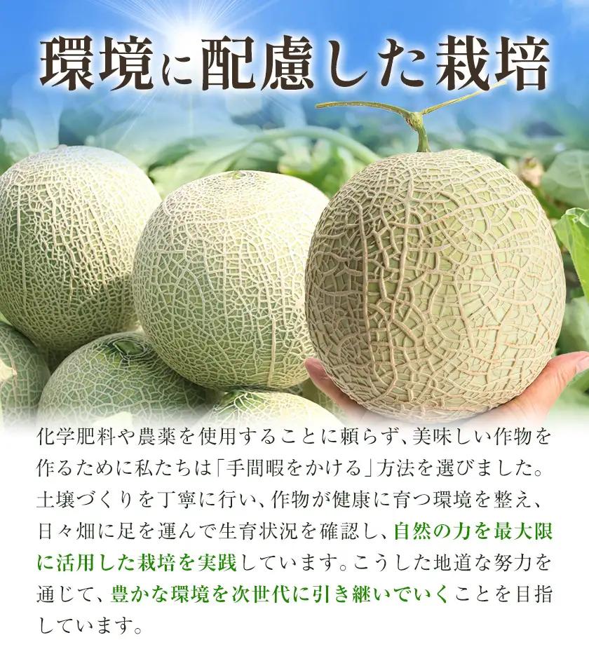 アールスメロン 2玉 2L～3Lサイズ メロン《9月上旬-12月上旬頃出荷》熊本県 菊池市 果物 フルーツ 青果物 菊池市産 熊本県産 九州産 国産 送料無料