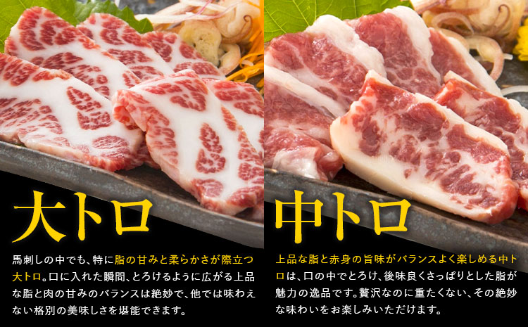 大トロ 中トロ 馬刺し 各300g 食べ比べ 計600g (専用醤油付き150ml×1本) 桜屋 《30日以内に出荷予定(土日祝除く)》 熊本県 山江村 送料無料 肉 馬肉 馬さし