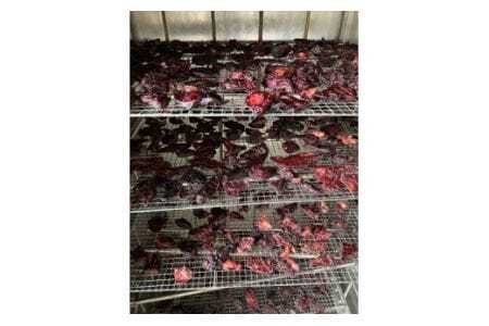 早川ジビエオリジナルペットフードセット小型犬用