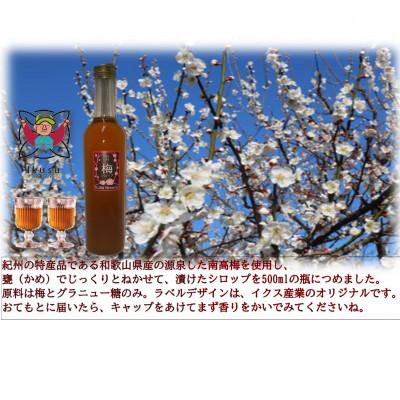 ふるさと納税 紀の川市 孫さんの紀州南高梅 梅シロップ500ml×3本セット |  | 01