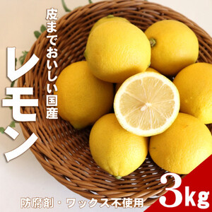 【ノーワックス】国産 紀州 レモン 約3kg(サイズおまかせ)【1484257】