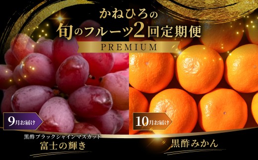 【 年2回定期便 （ 毎年9月 ・ 10月お届け予定 ） 】 かねひろの旬のフルーツ定期便 【 プレミアム 】 果物 くだもの フルーツ ブラックシャインマスカット みかん 旬 果実 果肉 国産 佐賀県産 冷蔵 常温 定期 定期配送