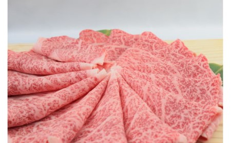 佐賀牛ローススライス しゃぶしゃぶ用 800g （800g×1パック） 149-J1801